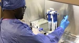 Photo of University of Ghana scientists make impressive stride into tracking of COVID-19 virus