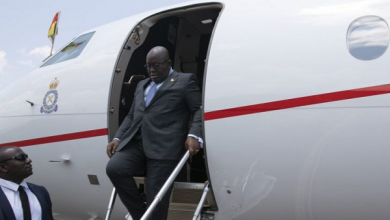 Photo of Akufo-Addo can’t shower in presidential jet – Nitiwul justifies £15k an hour private jet