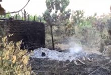 Photo of Video: Forestry Commission allegedly burns 8 houses in Ananekrom