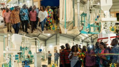 Photo of A/R: Akufo-Addo commissions maize processing factory under 1D1F programme