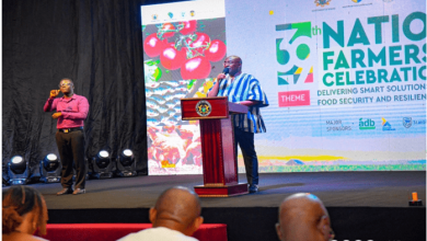 Photo of In five years Ghana will be food sufficient and resilient – Vice President